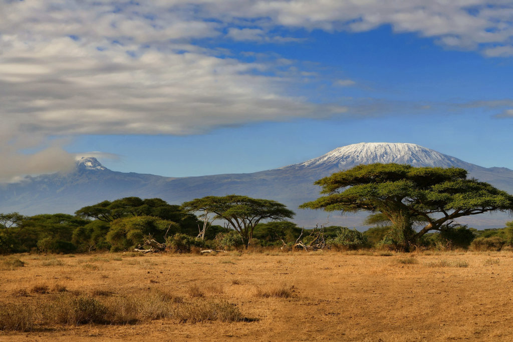 Kilimanjaro